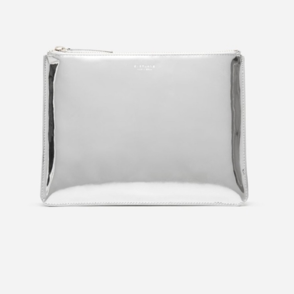Everlane the Shine Pouch